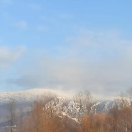 فيلة Homoljski Pogled Banja *