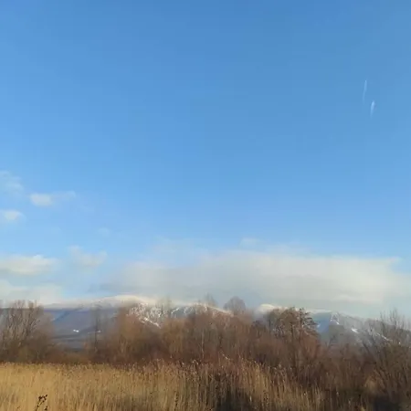 فيلة Homoljski Pogled Banja *