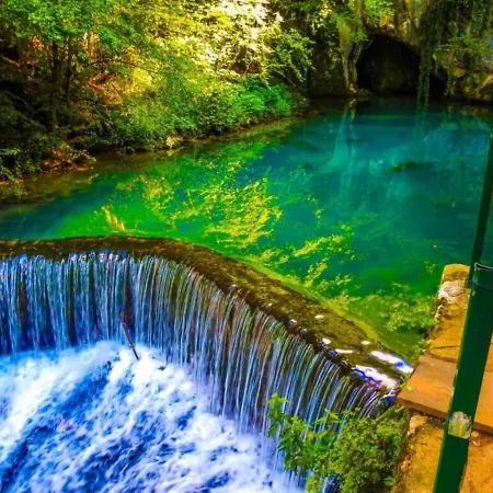 Homoljski Pogled Banja فيلة