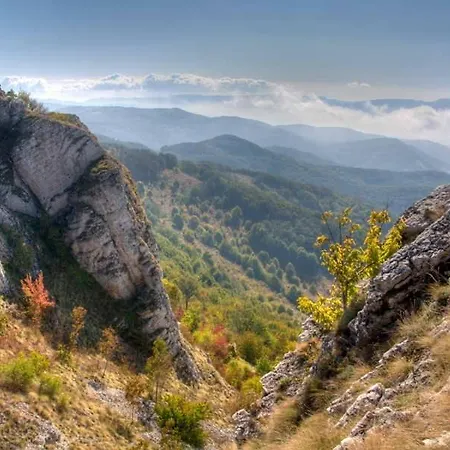 فيلة Homoljski Pogled Banja *