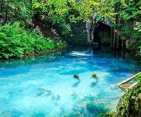 Homoljski Pogled Banja * Ždrelo