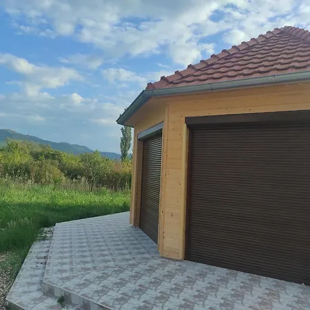 Homoljski Pogled Banja