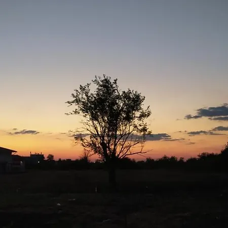 فيلة Homoljski Pogled Banja *