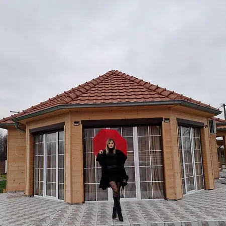 Homoljski Pogled Banja