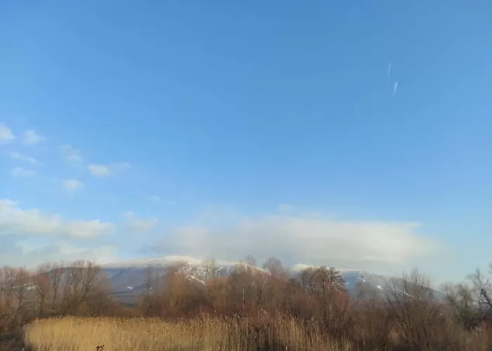 Willa Homoljski Pogled Banja *