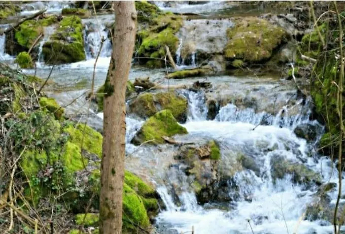 Homoljski Pogled Banja