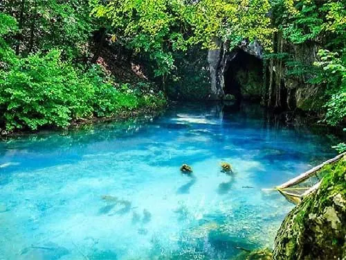 Homoljski Pogled Banja * Ždrelo